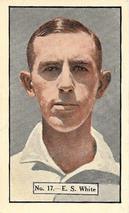 1936-37 Allen's Cricketers #17 Ted White Front
