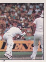 1982 Scanlens Cricket Stickers #169 Alan Border / Ian Botham Front