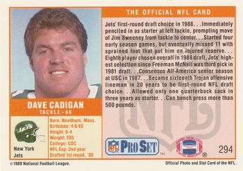 1989 Pro Set #294 Dave Cadigan Back