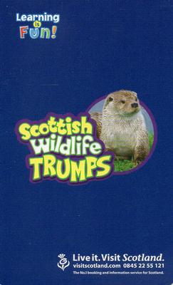 2007 Scottish Wildlife Trumps #NNO Atlantic Grey Seal Back