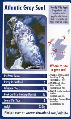 2007 Scottish Wildlife Trumps #NNO Atlantic Grey Seal Front