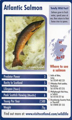 2007 Scottish Wildlife Trumps #NNO Atlantic Salmon Front