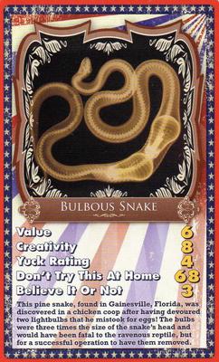 2008 Top Trumps Specials World of Weird! Ripley's Believe it or Not! #NNO Bulbous Snake Front