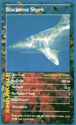 2003 Top Trumps Sharks #NNO Blacknose Shark Front