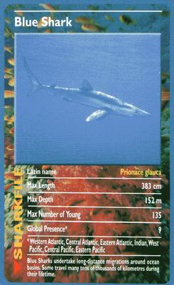 2003 Top Trumps Sharks #NNO Blue Shark Front