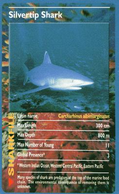 2003 Top Trumps Sharks #NNO Silvertip Shark Front
