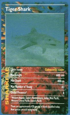 2003 Top Trumps Sharks #NNO Tiger Shark Front
