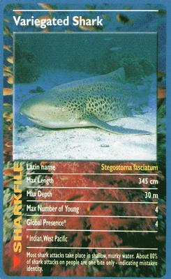 2003 Top Trumps Sharks #NNO Variegated Shark Front