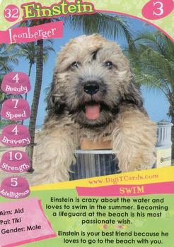 1995 Digit Cards Happy Puppy #32 Einstein Front