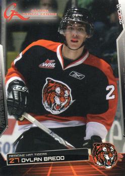 2010-11 Medicine Hat Tigers (WHL) #1 Dylan Bredo Front