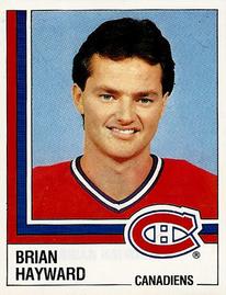1987-88 Panini Hockey Stickers #55 Brian Hayward Front