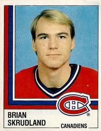 1987-88 Panini Hockey Stickers #67 Brian Skrudland Front