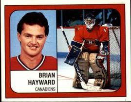1988-89 Panini Hockey Stickers #251 Brian Hayward Front