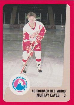 1988-89 ProCards Adirondack Red Wings (AHL) #NNO Murray Eaves Front
