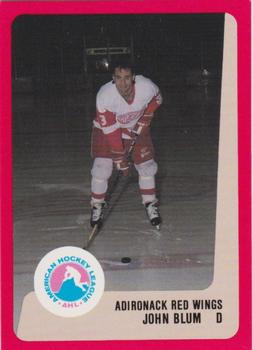 1988-89 ProCards Adirondack Red Wings (AHL) #NNO John Blum Front