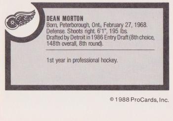 1988-89 ProCards Adirondack Red Wings (AHL) #NNO Dean Morton Back