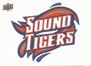 2015-16 Upper Deck AHL - Wordmark Logo Stickers #4 Bridgeport Sound Tigers Front