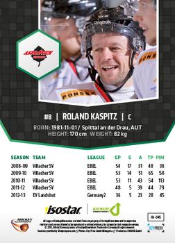 2013-14 HockeyAllsvenskan #HA-045 Roland Kaspitz Back
