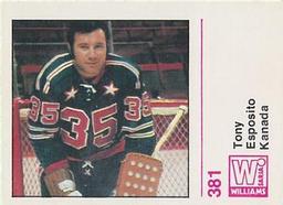 1971-72 Williams Jaakiekko (Finnish) #381 Tony Esposito Front