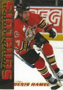 2003-04 Binghamton Senators (AHL) #NNO Denis Hamel Front