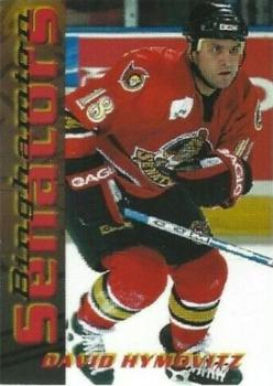 2003-04 Binghamton Senators (AHL) #NNO David Hymovitz Front