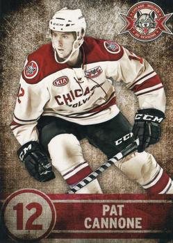 2013-14 Vienna Beef Chicago Wolves (AHL) #9 Pat Cannone Front