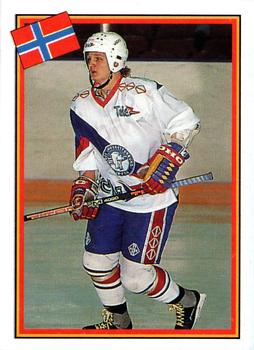 1993 Semic Hockey VM/Jaakiekon MM (Swedish/Finnish) Stickers #247 Tom-Erik Olsen Front