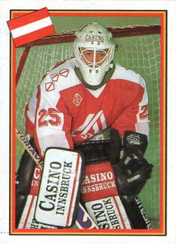 1993 Semic Hockey VM/Jaakiekon MM (Swedish/Finnish) Stickers #269 Brian Stankiewicz Front