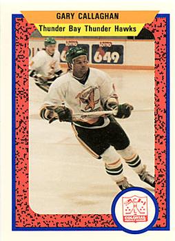 1991-92 ProCards Thunder Bay Thunder Hawks (CoHL) #5 Gary Callaghan Front