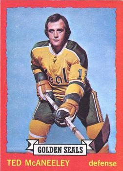 1973-74 O-Pee-Chee - Light Backs #37 Ted McAneeley Front
