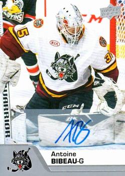 2020-21 Upper Deck AHL - Autographs #14 Antoine Bibeau Front