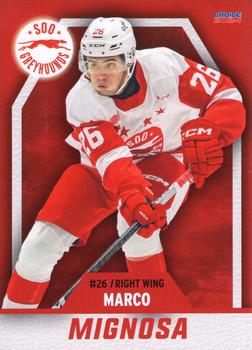 2023-24 Choice Sault Ste. Marie Greyhounds (OHL) #17 Marco Mignosa Front