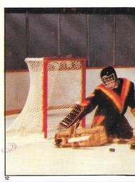1982-83 O-Pee-Chee Stickers #12 Richard Brodeur Front