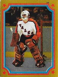 1984-85 O-Pee-Chee Stickers #144 Pete Peeters Front