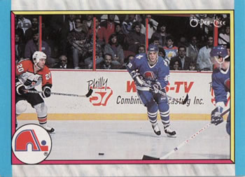1989-90 O-Pee-Chee #313 Quebec Nordiques Front