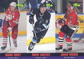 1994-95 Classic - Tri-Cards #T64 / T65 / T66 Aaron Gavey / Brent Gretzky / Jason Wiemer Front