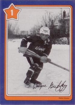 1982-83 Neilson Wayne Gretzky #1 Discard Broken Stick Front