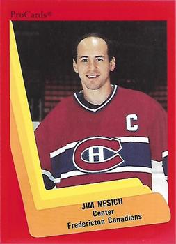 1990-91 ProCards AHL/IHL #61 Jim Nesich Front