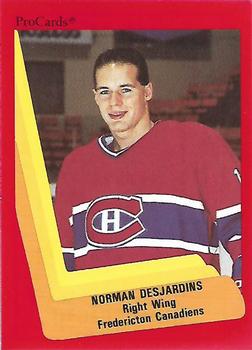 1990-91 ProCards AHL/IHL #69 Norman Desjardins Front