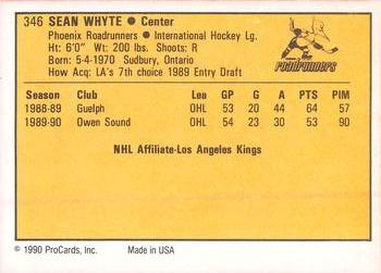 1990-91 ProCards AHL/IHL #346 Sean Whyte Back