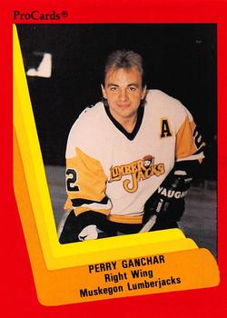 1990-91 ProCards AHL/IHL #379 Perry Ganchar Front