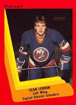 1990-91 ProCards AHL/IHL #495 Sean LeBrun Front