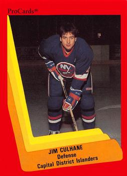 1990-91 ProCards AHL/IHL #504 Jim Culhane Front