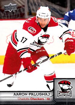 2014 Upper Deck AHL #20 Aaron Palushaj Front