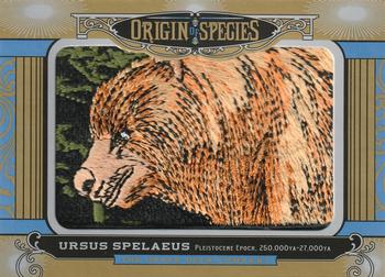 2016 Upper Deck Goodwin Champions - Origin of Species Manufactured Patches #OS260 Ursus Spelaeus Front