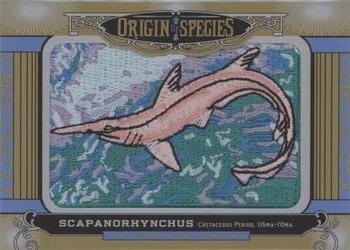 2016 Upper Deck Goodwin Champions - Origin of Species Manufactured Patches #OS278 Scapanorhynchus Front