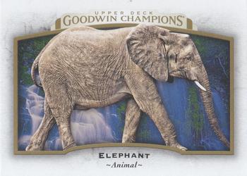 2017 Upper Deck Goodwin Champions #67 Elephant Front