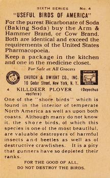 1931 Church & Dwight Useful Birds of America Sixth Series (J9-2) #4 Killdeer Back