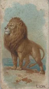 1909 Philadelphia Caramel Zoo (E28) #NNO Lion Front