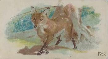 1909 Philadelphia Caramel Zoo (E28) #NNO Fox Front